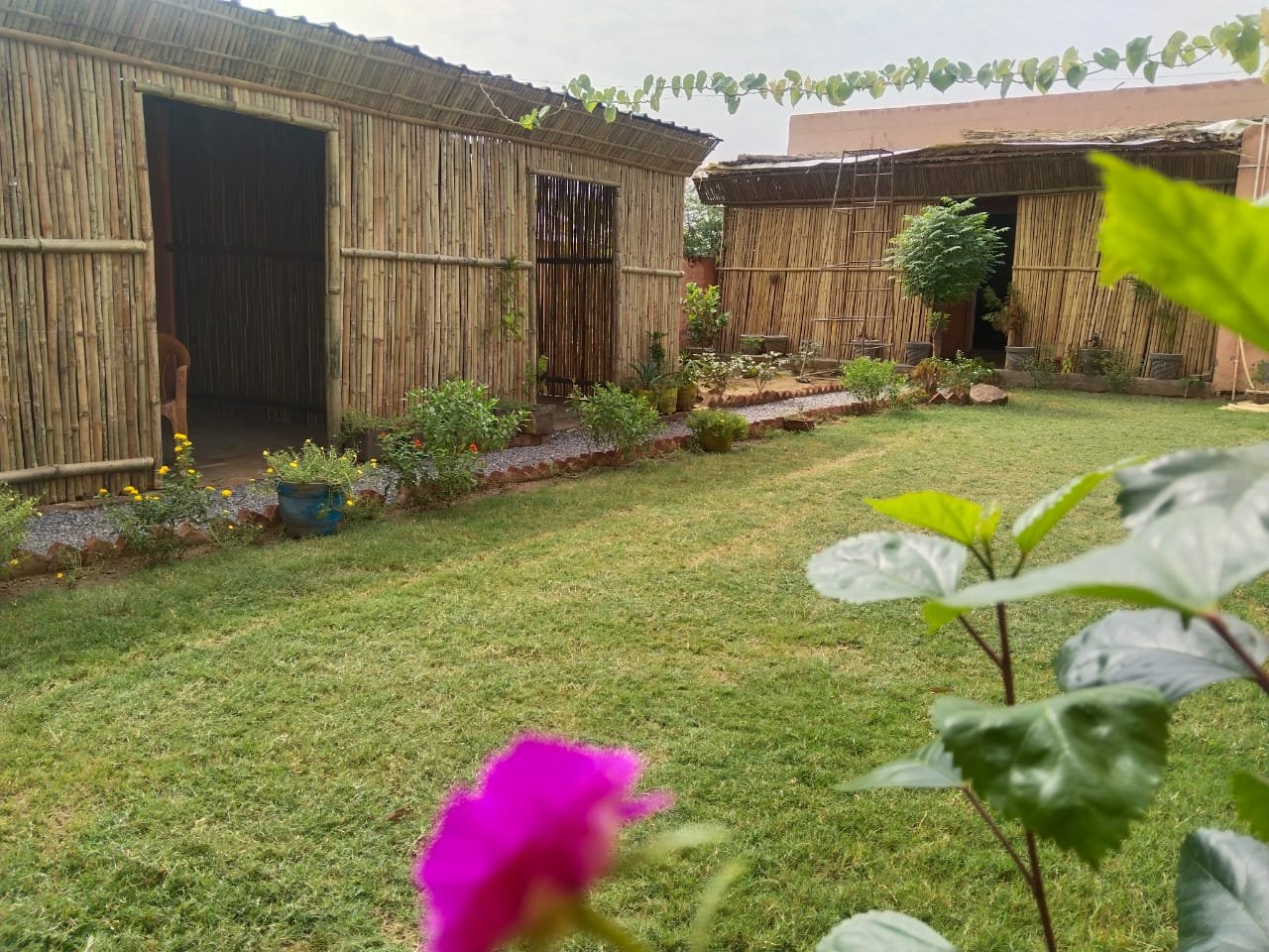 Lush botanical gardens and green healing lawns